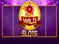 Wild Slot image