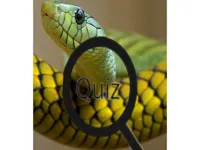 Wildlife Animal Trivia:Test Your Knowledge! image