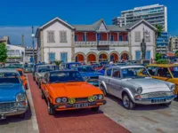 Find 100 Butterflies image