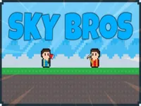 Sky Bros image